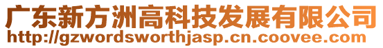 廣東新方洲高科技發展有限公司