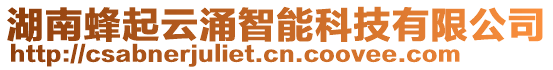湖南蜂起云涌智能科技有限公司