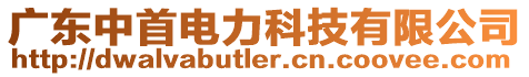 廣東中首電力科技有限公司