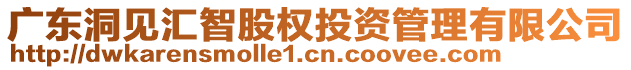 廣東洞見匯智股權投資管理有限公司