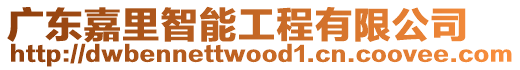 廣東嘉里智能工程有限公司