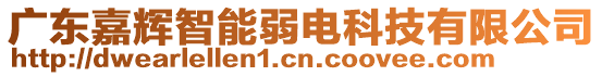 廣東嘉輝智能弱電科技有限公司