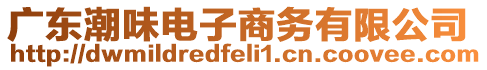 廣東潮味電子商務(wù)有限公司