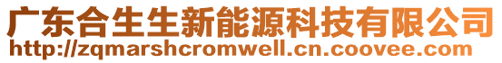 廣東合生生新能源科技有限公司