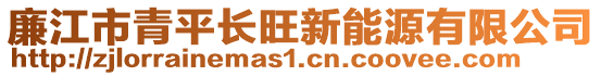 廉江市青平長旺新能源有限公司