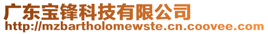 廣東寶鋒科技有限公司