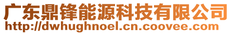 廣東鼎鋒能源科技有限公司