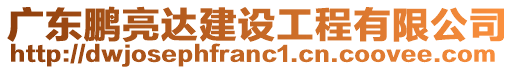 廣東鵬亮達建設工程有限公司