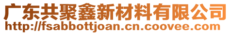 廣東共聚鑫新材料有限公司