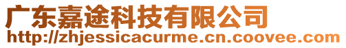 廣東嘉途科技有限公司