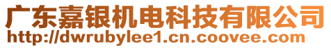 廣東嘉銀機(jī)電科技有限公司