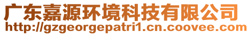 廣東嘉源環境科技有限公司