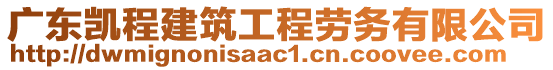 廣東凱程建筑工程勞務(wù)有限公司