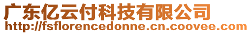 廣東億云付科技有限公司