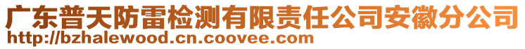 廣東普天防雷檢測(cè)有限責(zé)任公司安徽分公司