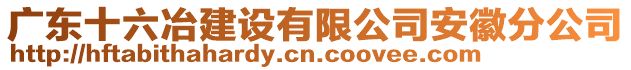 廣東十六冶建設(shè)有限公司安徽分公司