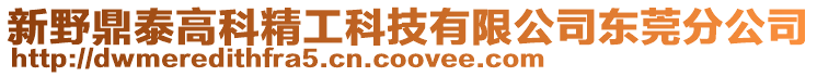 新野鼎泰高科精工科技有限公司東莞分公司