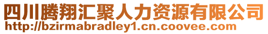 四川騰翔匯聚人力資源有限公司