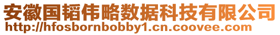 安徽國韜偉略數據科技有限公司