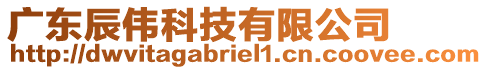 廣東辰偉科技有限公司