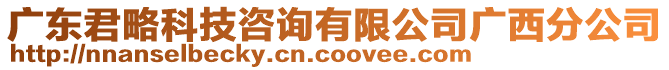 廣東君略科技咨詢有限公司廣西分公司