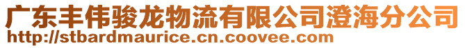 廣東豐偉駿龍物流有限公司澄海分公司