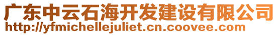 廣東中云石海開發(fā)建設(shè)有限公司