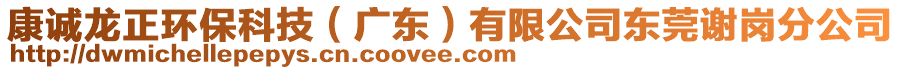 康誠(chéng)龍正環(huán)保科技(廣東)有限公司東莞謝崗分公司
