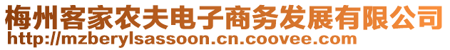 梅州客家農(nóng)夫電子商務發(fā)展有限公司