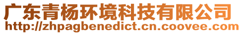 廣東青楊環境科技有限公司
