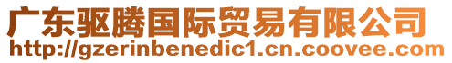 廣東驅(qū)騰國(guó)際貿(mào)易有限公司