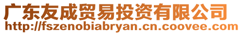 廣東友成貿(mào)易投資有限公司