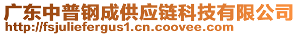 廣東中普鋼成供應(yīng)鏈科技有限公司