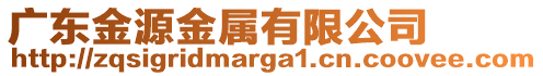 廣東金源金屬有限公司