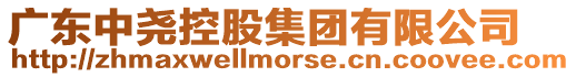 廣東中堯控股集團有限公司