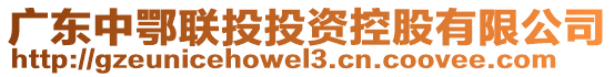 廣東中鄂聯(lián)投投資控股有限公司