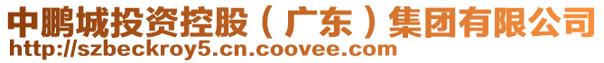 中鵬城投資控股（廣東）集團有限公司