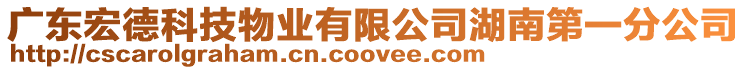 廣東宏德科技物業(yè)有限公司湖南第一分公司