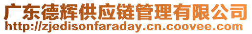 廣東德輝供應(yīng)鏈管理有限公司