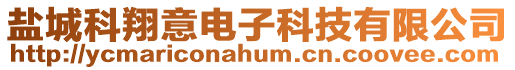 鹽城科翔意電子科技有限公司