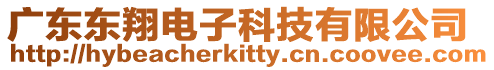廣東東翔電子科技有限公司