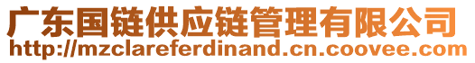 廣東國鏈供應(yīng)鏈管理有限公司