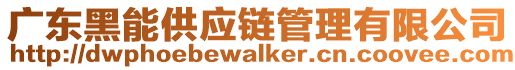 廣東黑能供應鏈管理有限公司