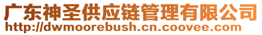 廣東神圣供應(yīng)鏈管理有限公司