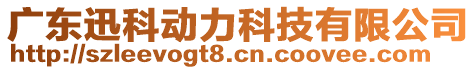 廣東迅科動(dòng)力科技有限公司