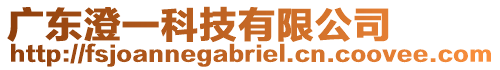 廣東澄一科技有限公司