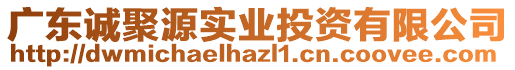 廣東誠聚源實業投資有限公司