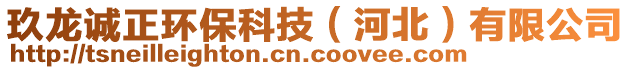 玖龍誠正環(huán)保科技(河北)有限公司