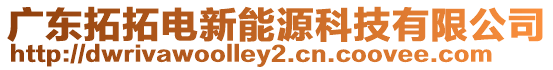 廣東拓拓電新能源科技有限公司