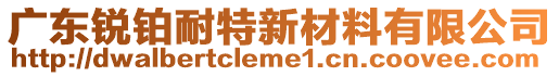 廣東銳鉑耐特新材料有限公司